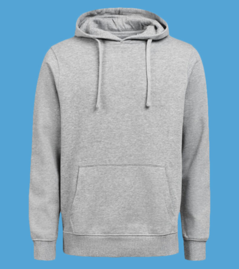Hoodie Regular Fit Thumbnail