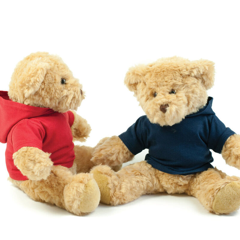 Teddy hoodie Thumbnail